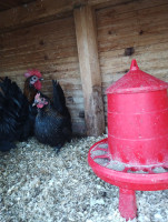 /album/fotogalerie-japonka-cabo/img-20251104-155254922-jpg/