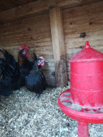 /album/fotogalerie-japonka-cabo/img-20251104-155251775-jpg/