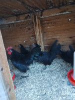 /album/fotogalerie-japonka-cabo/img-20251104-154925315-mp-jpg/