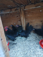 /album/fotogalerie-japonka-cabo/img-20251104-154925504-mp-jpg/