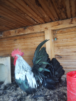 /album/fotogalerie-japonka-cabo/img-20251106-135426129-png/