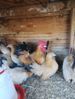 /album/fotogalerie-japonka-cabo/img-20251106-134522159-mp-jpg/