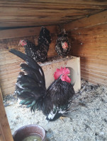 /album/fotogalerie-japonka-cabo/img-20251106-135229201-jpg/