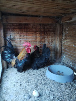 /album/fotogalerie-japonka-cabo/img-20260302-160838610-jpg1/